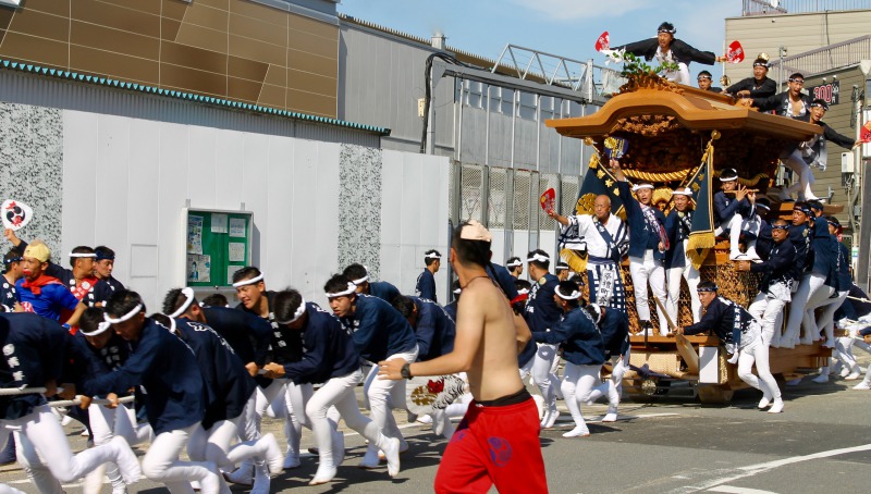 Lễ hội Kishiwada Danjiri Matsuri