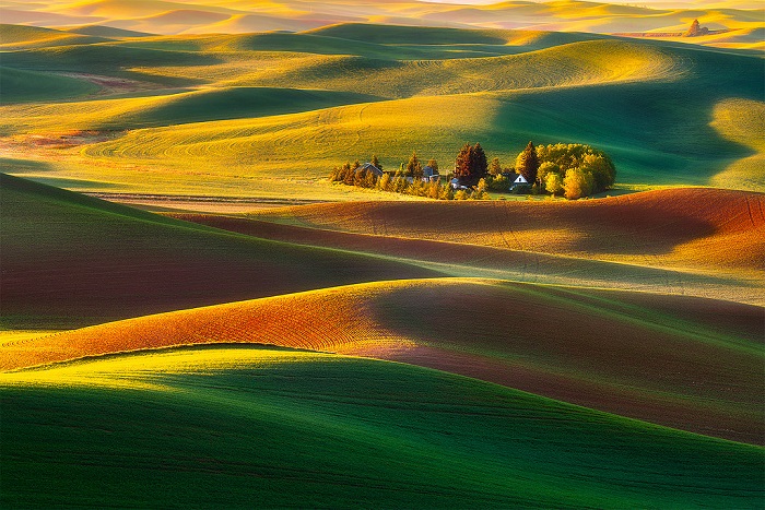 Vùng thảo nguyên Palouse