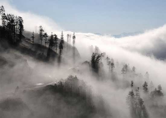Sương mù dày đặc trên núi