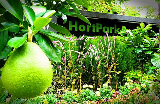Hort Park là địa điểm có những loại cây quả nuôi trồng tự nhiên