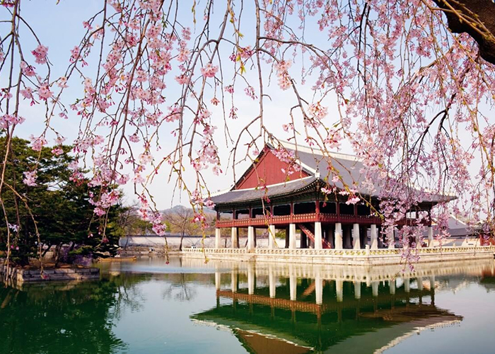  Du lịch cung điện quốc gia Hàn Quốc 
