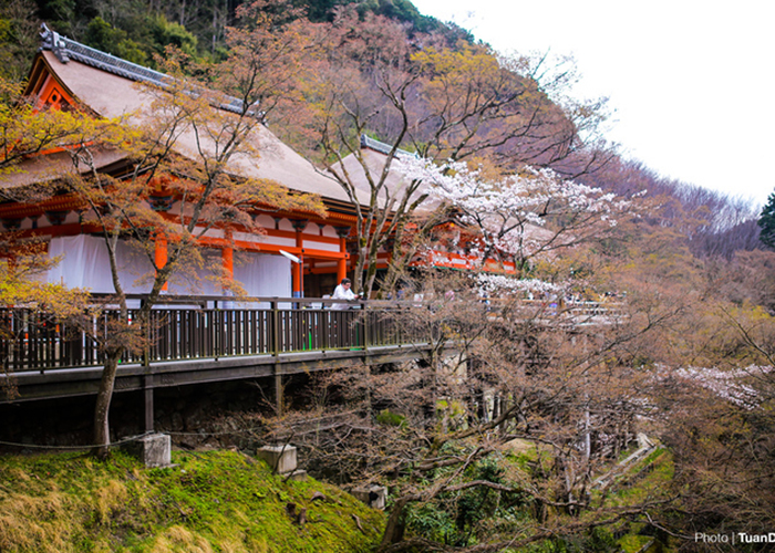 Đền Kiyomizu