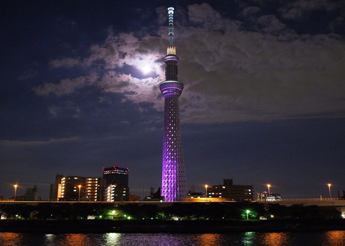 Tháp truyền hình Tokyo