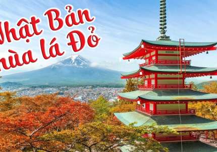 Bỏ túi 10+ địa điểm “THÚ VỊ” phải đến khi đi du lịch Nhật Bản mùa lá đỏ