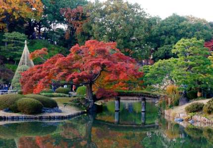 Giải đáp thắc mắc du lịch Nhật Bản mùa nào đẹp nhất