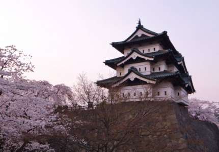 Du Lịch Nhật Bản Mùa Hoa Anh Đào Đến Với Thành Phố Chiba