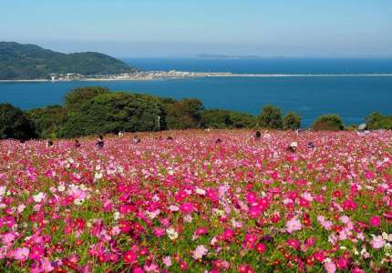 Du lịch Fukuoka Nhật Bản hút khách