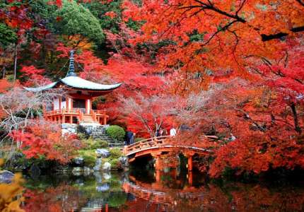 Mùa lá đỏ Nhật Bản vào tháng mấy