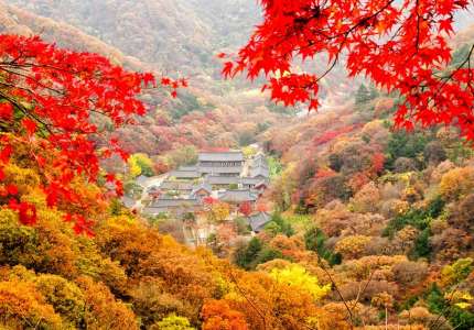 Du lịch Hàn Quốc có gì nổi tiếng
