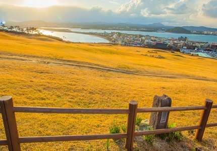 Du lịch Hàn Quốc đón thu vàng tại Seoul - Nami - Everland 