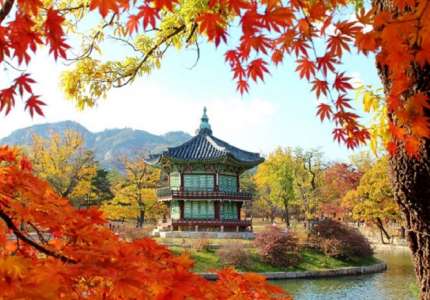Du lịch Hàn Quốc mùa nào đẹp nhất