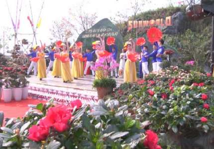 Lễ hội Hoa đỗ quyên Sapa