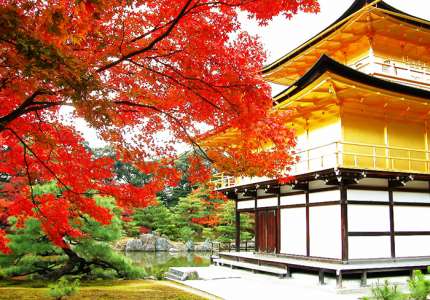Những trải nghiệm không thể bỏ lỡ khi tới Nhật Bản vào mùa thu