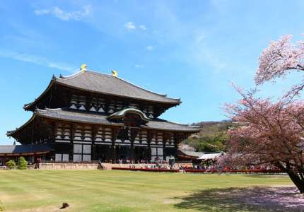 Khám phá ngôi chùa Todaiji với kiến trúc độc đáo