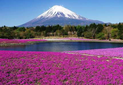 Điểm danh những địa điểm lý tưởng để chiêm ngưỡng vẻ đẹp của núi Phú Sĩ