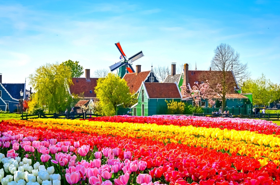 Tour Châu Âu 9 Ngày - Lễ Hội Hoa Tulip Hà Lan