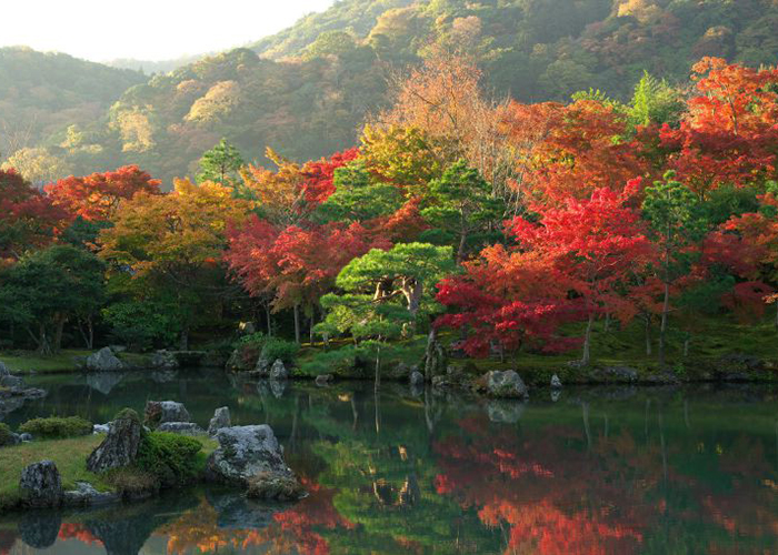 Tour du lịch Nhật Bản mùa lá đỏ 7 ngày 6 đêm